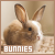 The bunny fanlisting's button